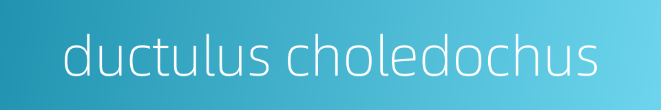 ductulus choledochus的同义词