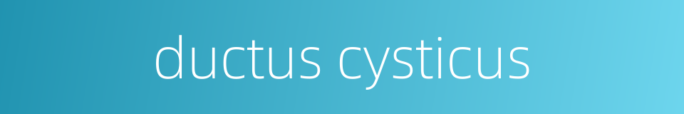 ductus cysticus的同义词