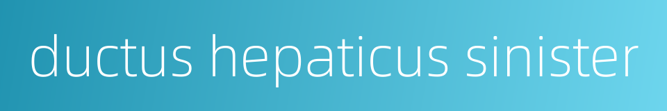 ductus hepaticus sinister的同义词