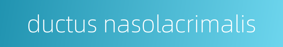 ductus nasolacrimalis的同义词