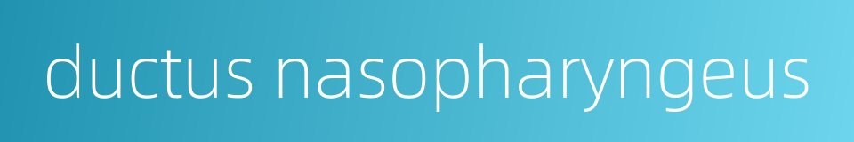 ductus nasopharyngeus的同义词