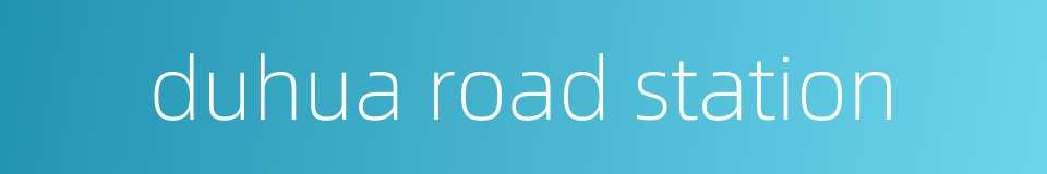 duhua road station的同义词