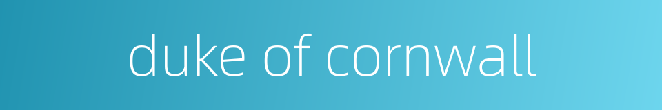 duke of cornwall的同义词