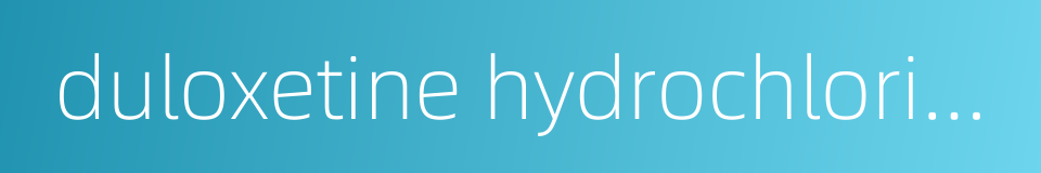 duloxetine hydrochloride的同义词