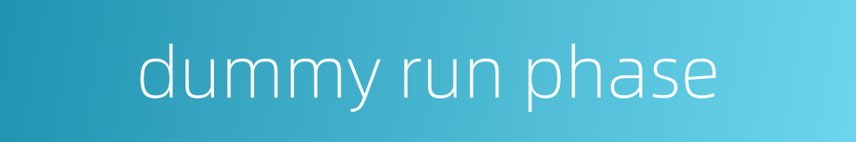 dummy run phase的同义词