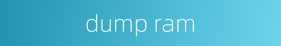 dump ram的同义词