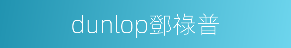 dunlop鄧祿普的同義詞