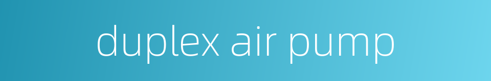 duplex air pump的同义词