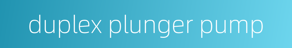 duplex plunger pump的同义词
