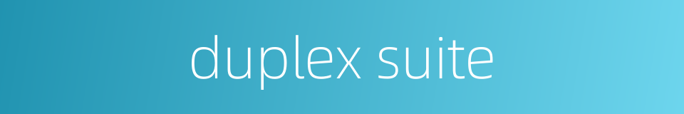 duplex suite的同义词