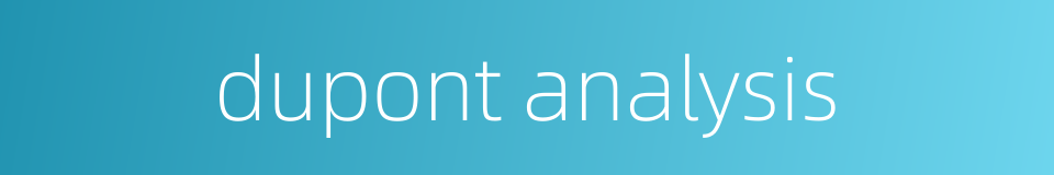 dupont analysis的同义词