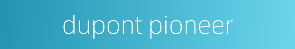 dupont pioneer的同义词