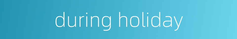 during holiday的同义词