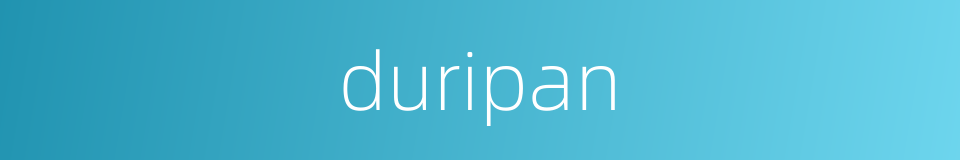 duripan的同义词