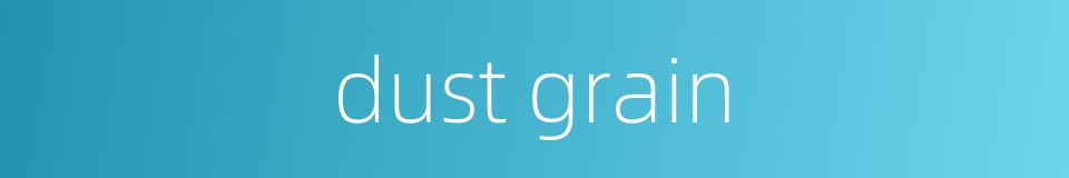 dust grain的同义词