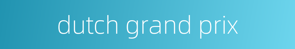 dutch grand prix的同义词