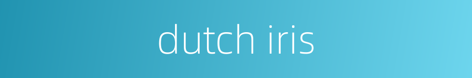 dutch iris的同义词