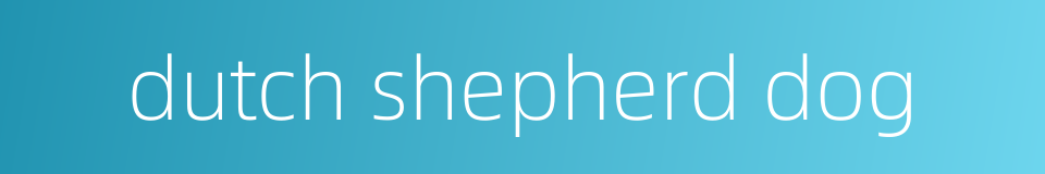 dutch shepherd dog的同义词