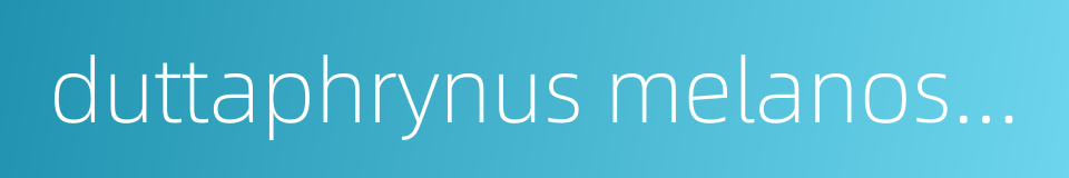 duttaphrynus melanostictus的同义词