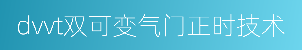 dvvt双可变气门正时技术的同义词