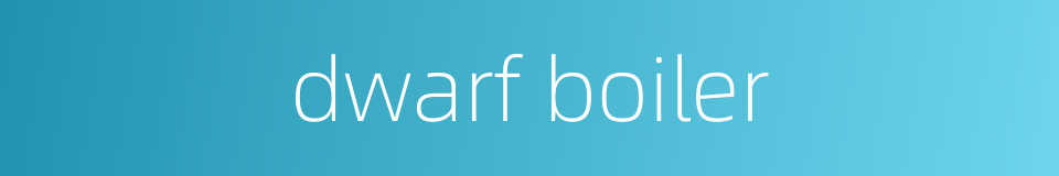 dwarf boiler的同义词