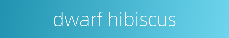 dwarf hibiscus的同义词