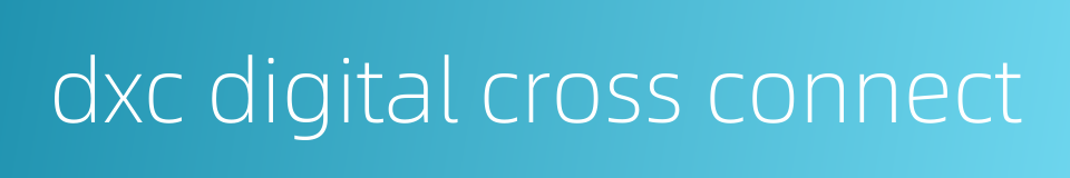 dxc digital cross connect的同义词