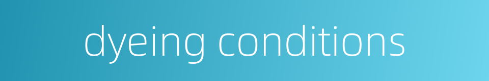 dyeing conditions的同义词