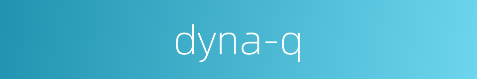 dyna-q的同义词
