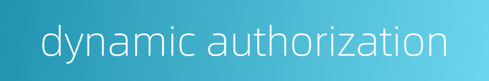 dynamic authorization的同义词