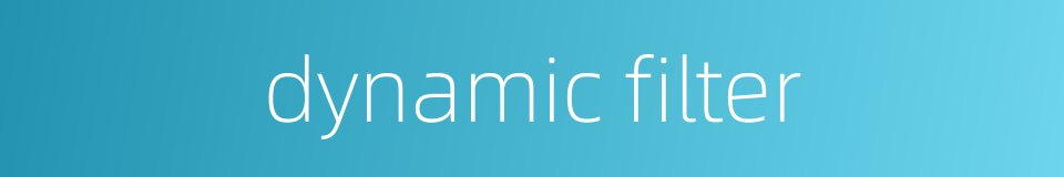 dynamic filter的同义词