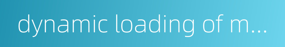 dynamic loading of modules的同义词