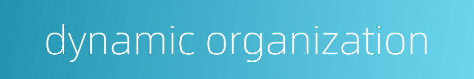 dynamic organization的同义词