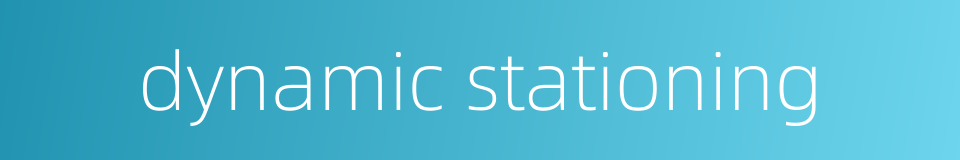 dynamic stationing的同义词