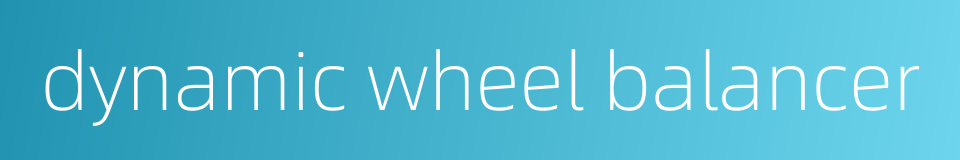 dynamic wheel balancer的同义词