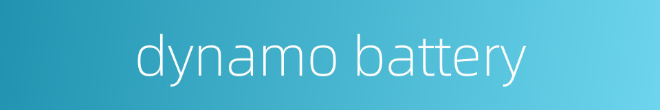 dynamo battery的同义词
