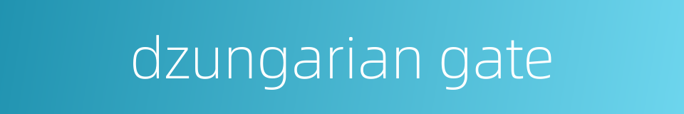 dzungarian gate的同义词