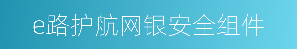 e路护航网银安全组件的同义词