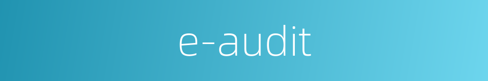 e-audit的同义词