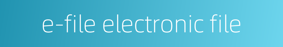 e-file electronic file的同义词