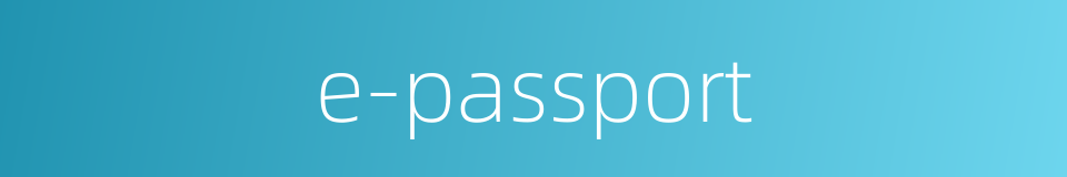 e-passport的同义词