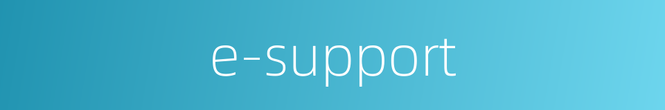 e-support的同义词