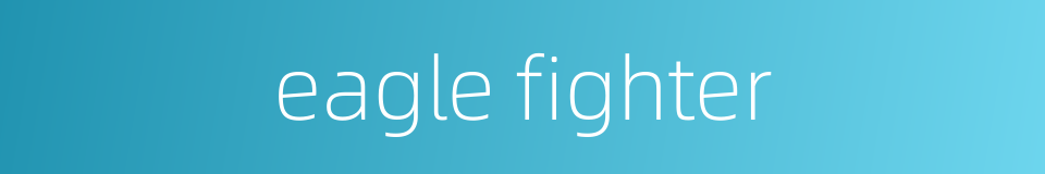 eagle fighter的同义词