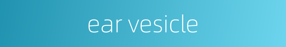 ear vesicle的同义词