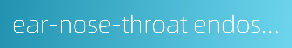 ear-nose-throat endoscope的同义词