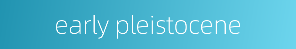 early pleistocene的同义词