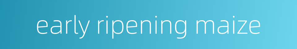 early ripening maize的同义词