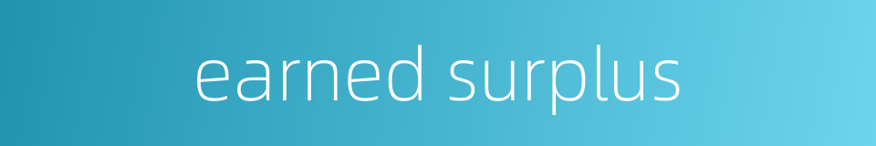 earned surplus的同义词