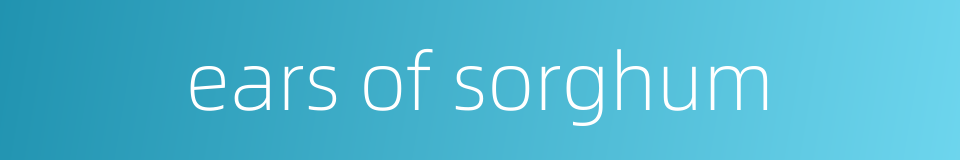 ears of sorghum的同义词
