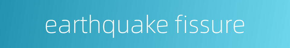 earthquake fissure的同义词